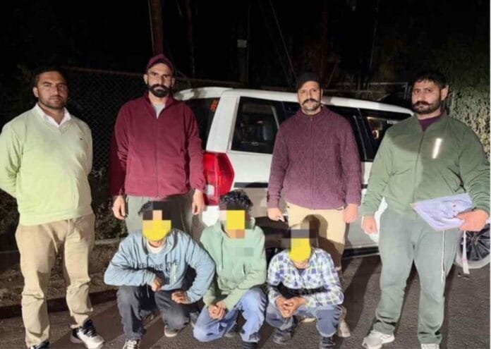 बिरोजा फैक्टरी के समीप चिट्टे के साथ पकड़े गए ये 3 युवक, एसआईयू ने दिया कार्रवाई को अंजाम