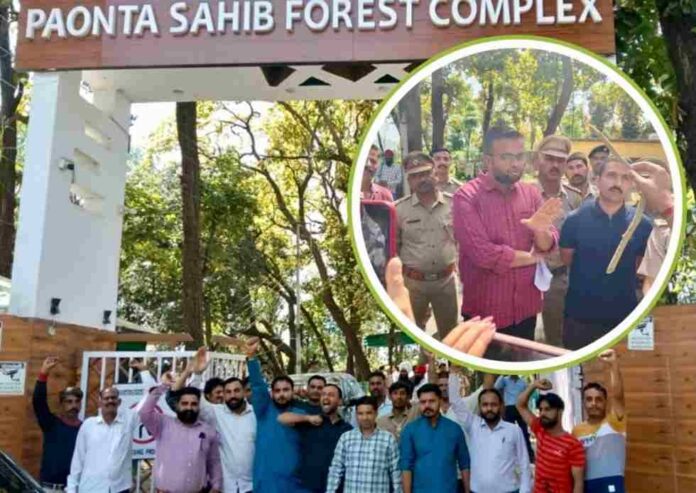 WhatsApp Image 2025-04-02 at 19.20.48_d3ced5ee