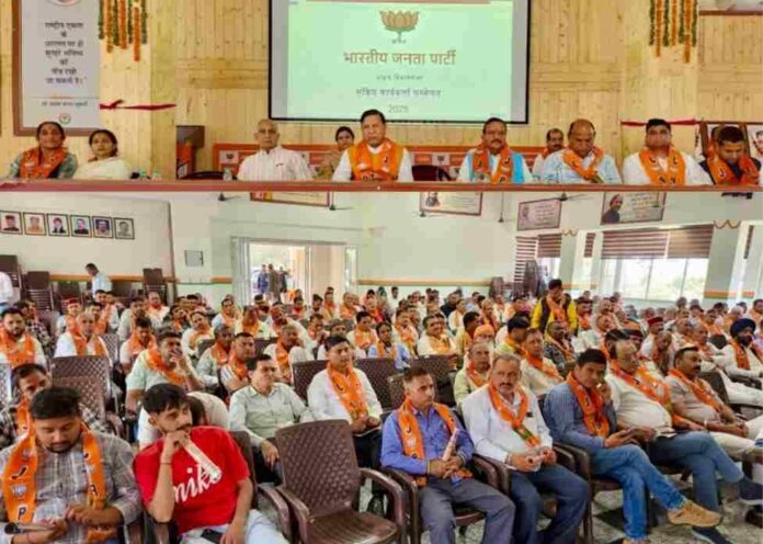 WhatsApp Image 2025-04-07 at 20.13.52_a1137651