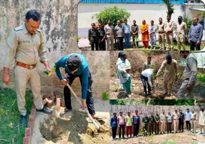 WhatsApp Image 2025-06-05 at 16.17.23_0c59fc42