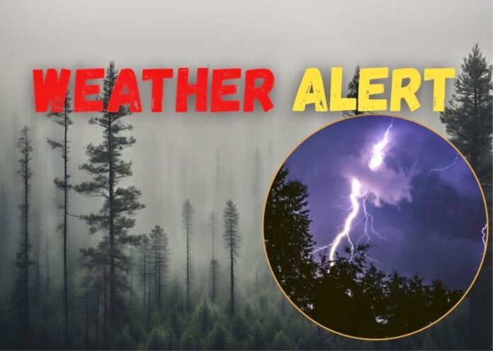 WEATHER ALERT