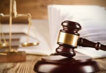 होली उत्सव पर 2 मार्च को मंडी की सभी अदालतों में स्थानीय अवकाश, 3 मार्च को होगी सुनवाई