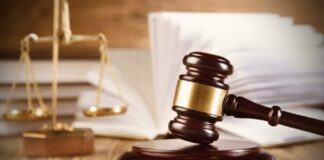 होली उत्सव पर 2 मार्च को मंडी की सभी अदालतों में स्थानीय अवकाश, 3 मार्च को होगी सुनवाई