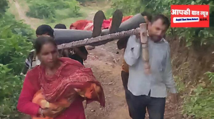 WhatsApp Image 2025-08-11 at 11.00.50_24dd9d83