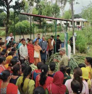 खाद्यान्न और सब्जियों की पैदावार बढ़ाने के लिए किसान अपनाएं ये वैज्ञानिक तरीके, मिलेगा अच्छा मुनाफा