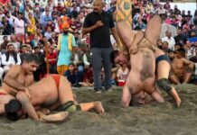 श्री रेणुकाजी मेले में चंडीगढ़ के आशीष ने जीता विशाल दंगल, दिल्ली के चिराग को हराकर बने चैंपियन