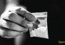 गाड़ी से कूड़ा उठाने की आड़ में चल रहा था नशे का अवैध धंधा, नाहन में पुलिस ने दबोचा