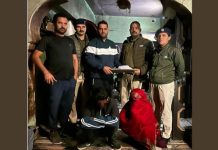 सिरमौर में 15.50 ग्राम स्मैक के साथ पति-पत्नी गिरफ्तार, डिटेक्शन सेल की टीम की बड़ी कार्रवाई