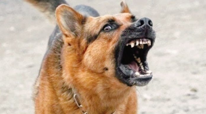 WhatsApp Image 2025-11-04 at 19.58.02_7a658907