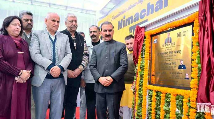 WhatsApp Image 2025-11-12 at 14.33.58_64e7f456