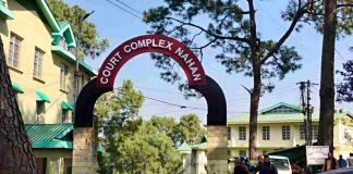 चरस रखने के 2 दोषियों को 4-4 साल की जेल, विशेष न्यायाधीश सिरमौर की अदालत ने सुनाई सजा