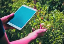 डिजिटल फसल सर्वेक्षण के लिए नियुक्त होंगे निजी सर्वेक्षक