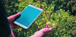 न सर्वे की टेंशन ना मुआवजे में देरी, सिर्फ एक पंजीकरण करवा किसानों को मिलेंगे सीधे ये सब लाभ