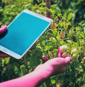 न सर्वे की टेंशन ना मुआवजे में देरी, सिर्फ एक पंजीकरण करवा किसानों को मिलेंगे सीधे ये सब लाभ