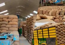 हिमाचल में 16171.79 मीट्रिक टन धान की सरकारी खरीद, आवक जारी, किसानों के खातों में 30.74 करोड़ जमा