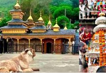 ऐतिहासिक क्षण के लिए सिरमौर तैयार: उत्तराखंड से हिमाचल की ओर बढ़ रहे न्याय के देवता चालदा महासू, उत्सव जैसा माहौल
