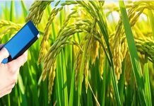 जिला बिलासपुर में किया जा रहा फसलों का डिजिटल फसल सर्वे, संपर्क नंबर जारी