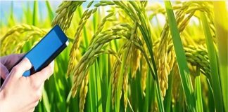 जिला बिलासपुर में किया जा रहा फसलों का डिजिटल फसल सर्वे, संपर्क नंबर जारी