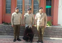 चोरी मामले में पुलिस ने धरा 20 वर्षीय युवक, रिकॉर्ड खंगाला तो पंजाब में चिट्टा तस्करी से भी जुड़े मिले तार