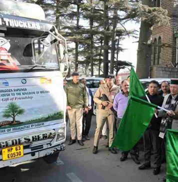हिमाचल प्रदेश ने भूटान भेजे चिलगोजा के पौधे, सीएम ने वाहन को हरी झंडी दिखा किया रवाना