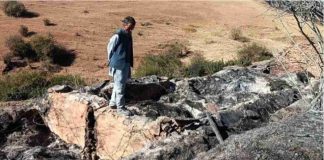 कवालिया चोटी पर शरारती तत्वों ने फूंक दिए भैंस पालकों के अस्थाई शैड, सदियों पुरानी परंपरा पर संकट