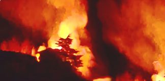 बड़ा अपडेट : सिरमौर में मातम में बदलीं माघी पर्व की खुशियां, भीषण अग्निकांड में 3 मासूम समेत 6 की मौत, 4 घर जले, 3 मवेशी भी मरे