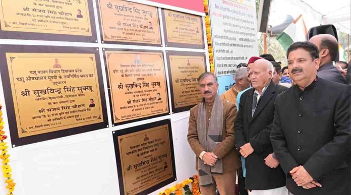 WhatsApp Image 2026-01-22 at 6.24.19 PM