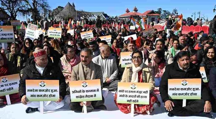 WhatsApp Image 2026-01-30 at 5.12.41 PM