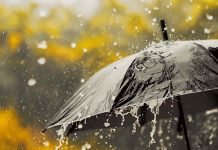 Himachal Weather Update: फिर बिगड़ेगा मौसम! लुढ़केगा पारा, थमेगी रफ्तार, जानिए क्या है नई अपडेट