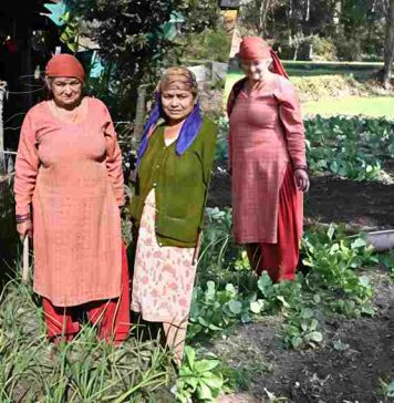 प्राकृतिक खेती से जुड़े और बदली तकदीर, अजय कुमार और कमला समूह बने आत्मनिर्भरता की मिसाल