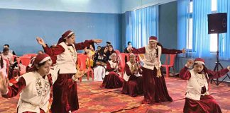 Audition: नृत्य ऑडिशन में 93 प्रतिभागियों ने दिखाई प्रतिभा, अंतरराष्ट्रीय शिवरात्रि महोत्सव मंडी- 2026 के लिए सभी ऑडिशन संपन्न