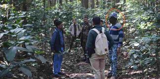 काकड़ शिकार केस : पेड़ पर बैठकर मारी थी गोली, न्यायिक हिरासत में भेजा आरोपी, एसीएफ आदित्य शर्मा को जांच का जिम्मा