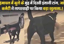 कुत्ते के मुंह में कैसे पहुंचा इंसान का कटा अंग, अस्पताल प्रशासन की व्यवस्था पर बड़ा सवाल