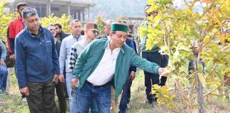 जगत सिंह नेगी ने सिरमौर के शिरूमाईला में पीसीडीओ व शिवा क्लस्टर इकाई डूंगीसेर का किया निरीक्षण