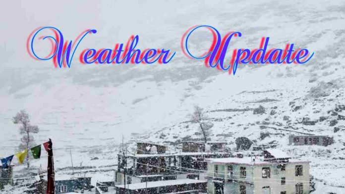 PosterMaker_15022026_101849