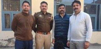 चोरी मामले का उदघोषित अपराधी गिरफ्तार, बद्दी पुलिस के पीओ सेल की कार्रवाई