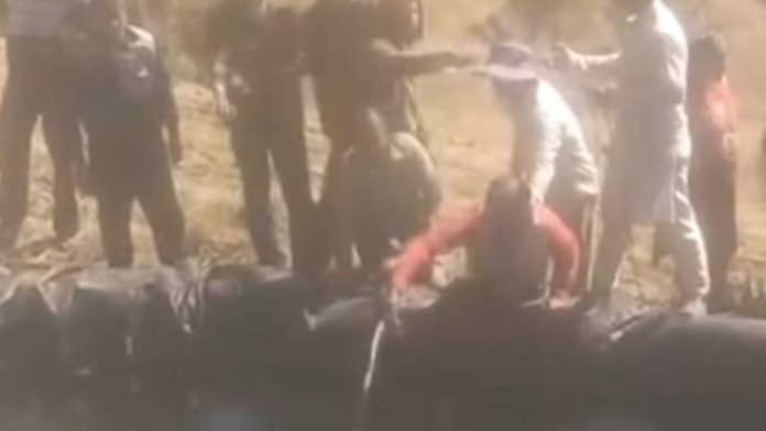 PosterMaker_16022026_073624