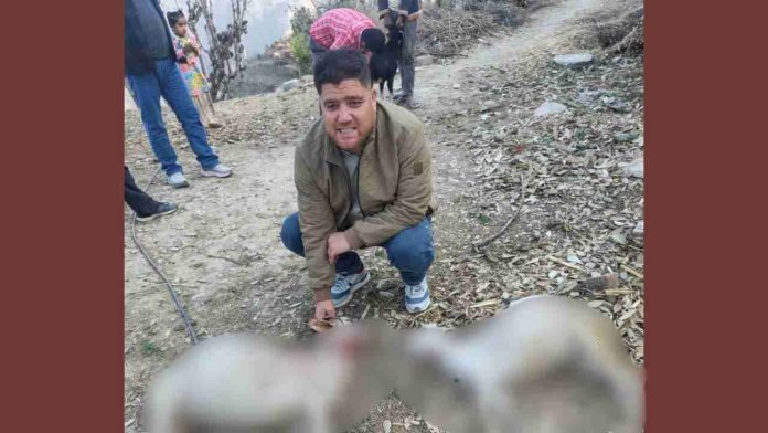 WhatsApp Image 2026-02-28 at 5.43.34 PM