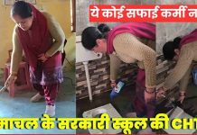 यहां पढ़ाने के साथ झाड़ू थामने को मजबूर हुईं टीचर : 75 बच्चों का भविष्य संवारने के साथ शौचालयों की सफाई… खोल रही व्यवस्थाओं की पोल