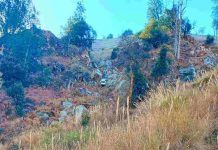 हिमाचल में बड़ा हादसा: कार खाई में गिरने से 2 महिलाओं सहित 4 की दर्दनाक मौत, 1 गंभीर