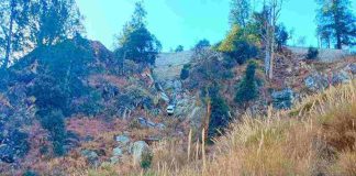 हिमाचल में बड़ा हादसा: कार खाई में गिरने से 2 महिलाओं सहित 4 की दर्दनाक मौत, 1 गंभीर