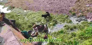 नाहन के जोगीबन में बकरियों के फार्म में घुसा तेंदुआ; दो लोग घायल, वन विभाग ने किया रेस्क्यू