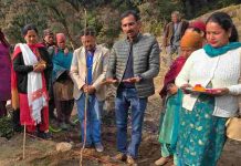 मंडी की चौहार और बरोट घाटी में एचपी शिवा परियोजना के तहत वृक्षारोपण अभियान का आगाज