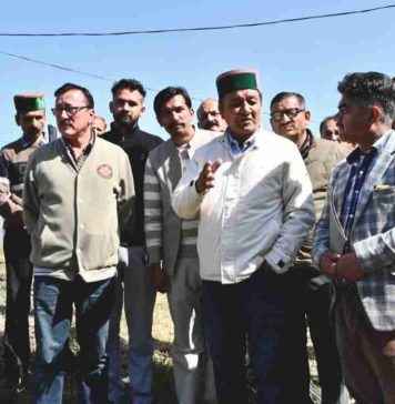 राजस्व मंत्री ने पीसीडीओ व फल विधायन केंद्र राजगढ़ का किया निरीक्षण, बागवानों व किसानों की समस्याएं भी सुनीं