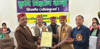 हाटी सौंठ को मिला पीपीवीएफआरए रजिस्ट्रेशन प्रमाण पत्र, गिरिपार के किसानों की वर्षों पुरानी मांग पूरी