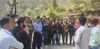 पेड़ कटान मामला : सस्पेंड हुए वन कर्मियों के समर्थन में उतरा संघ, बोला- बिना जांच सुना दिया फैसला, वापस हो आदेश