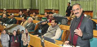 सुक्खू सरकार के चौथे बजट में किसानों-पशुपालकों पर बड़ा फोकस, दूध के रेट बढ़े, हिमाचल में पहली बार अदरक का MSP तय