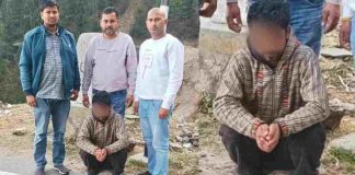 श्री रेणुकाजी थाना में दर्ज केस में उदघोषित अपराधी शिमला से गिरफ्तार, सिरमौर पुलिस के पीओ सेल ने दबोचा