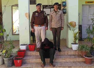 चोरी मामले में चंद घंटों के भीतर धरा आरोपी, CCTV फुटेज और तकनीकी साक्ष्यों के आधार पर सोलन पुलिस ने की त्वरित कार्रवाई