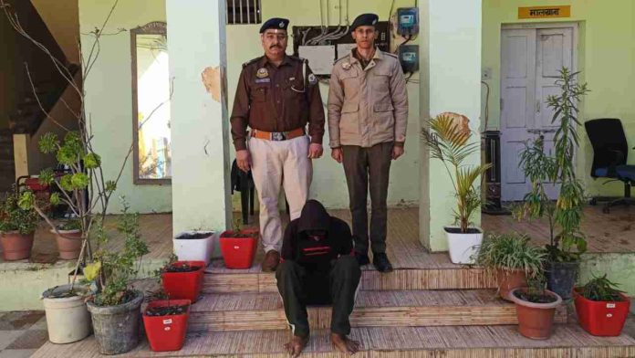 Untitled design_20260304_183904_0000